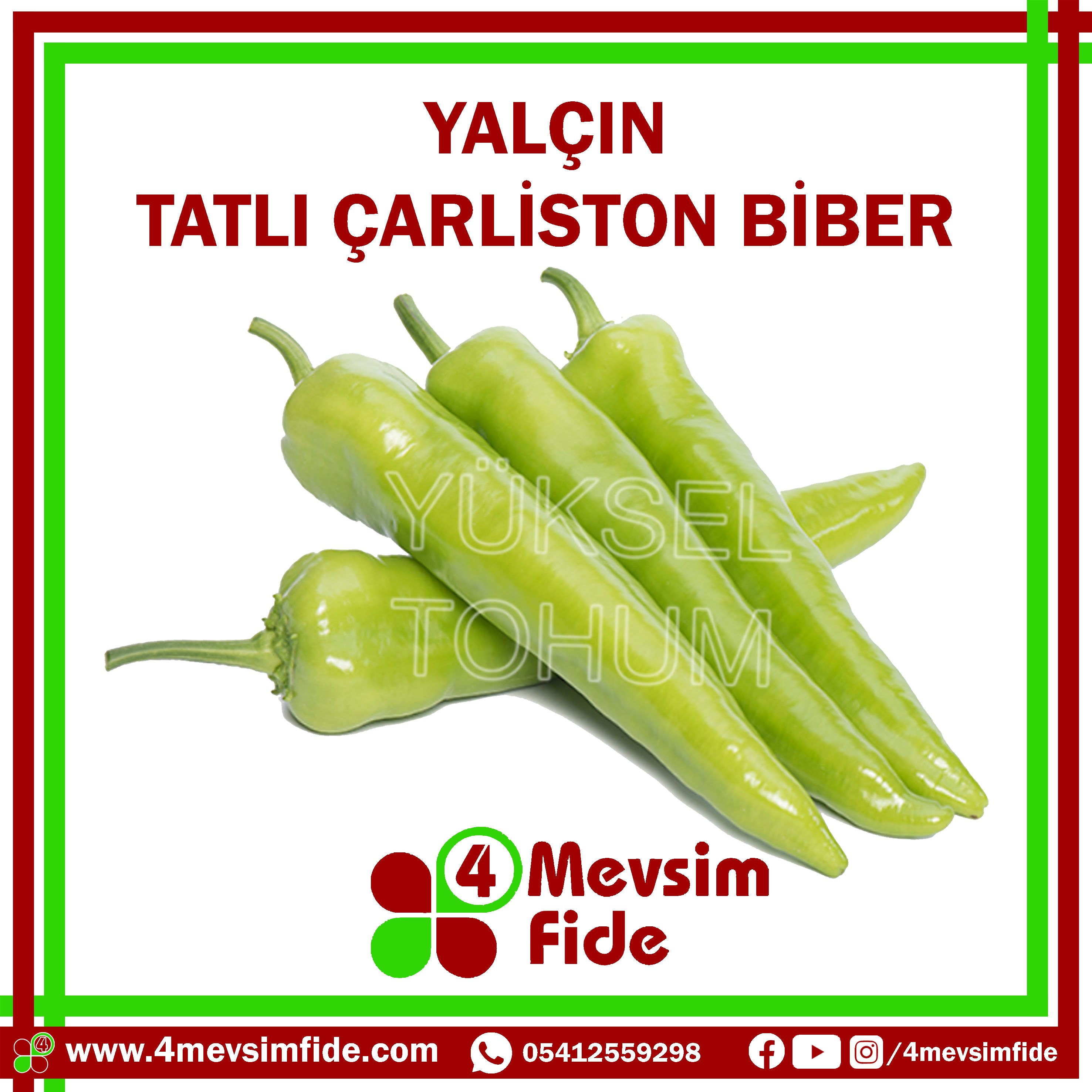 Yalçın F1 Tatlı Çarliston Biber