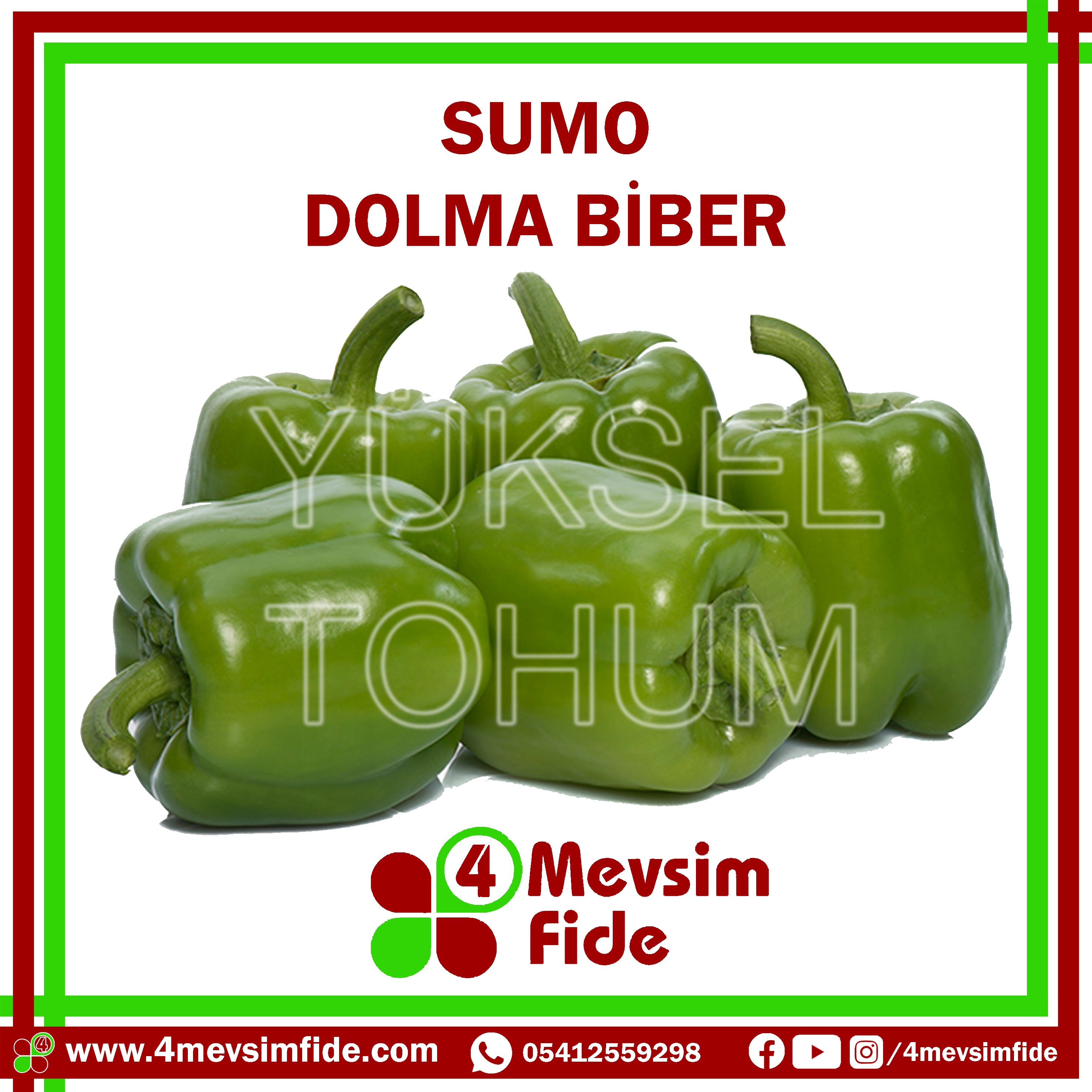 Sumo F1 Dolma Biber