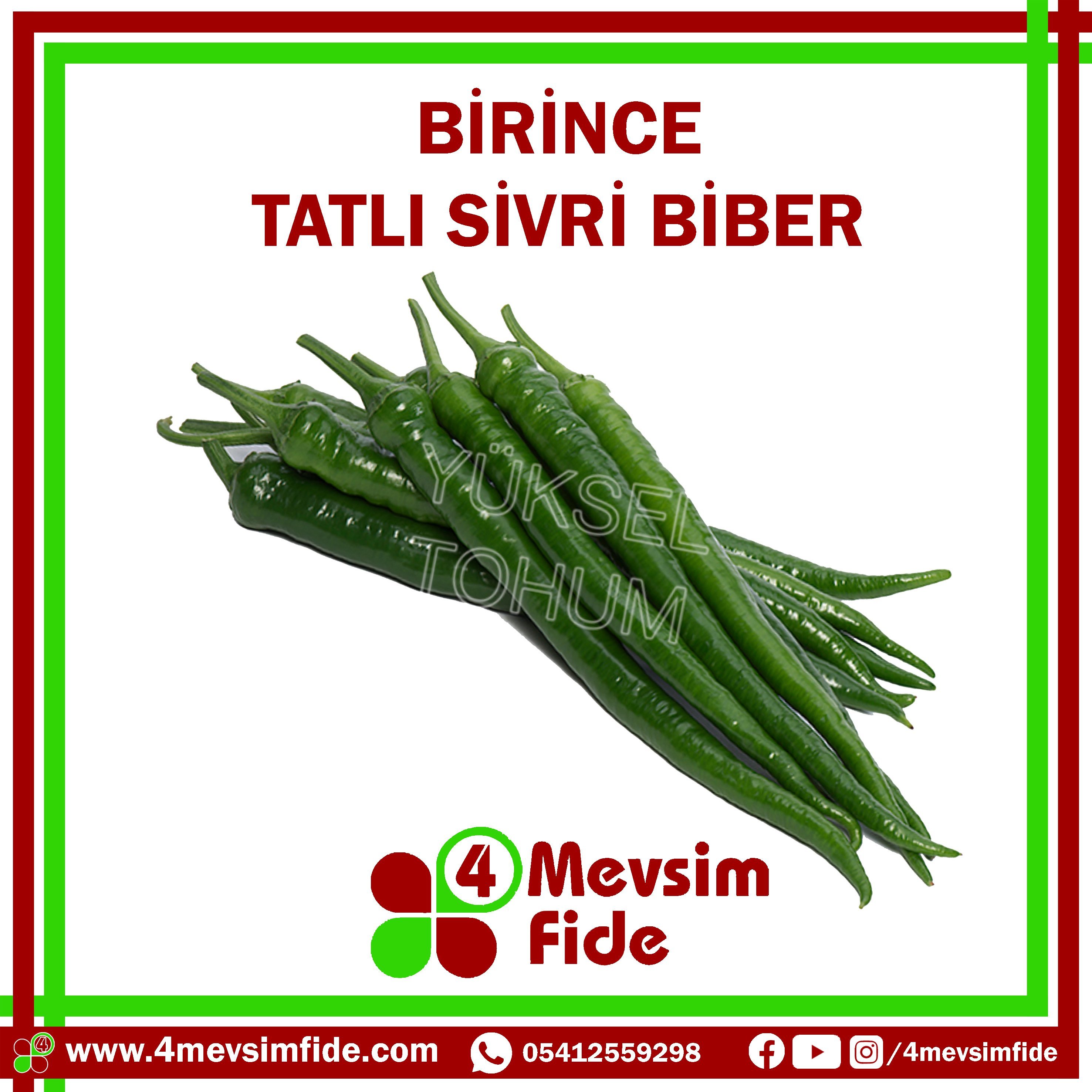 Birince F1 Sivri Biber