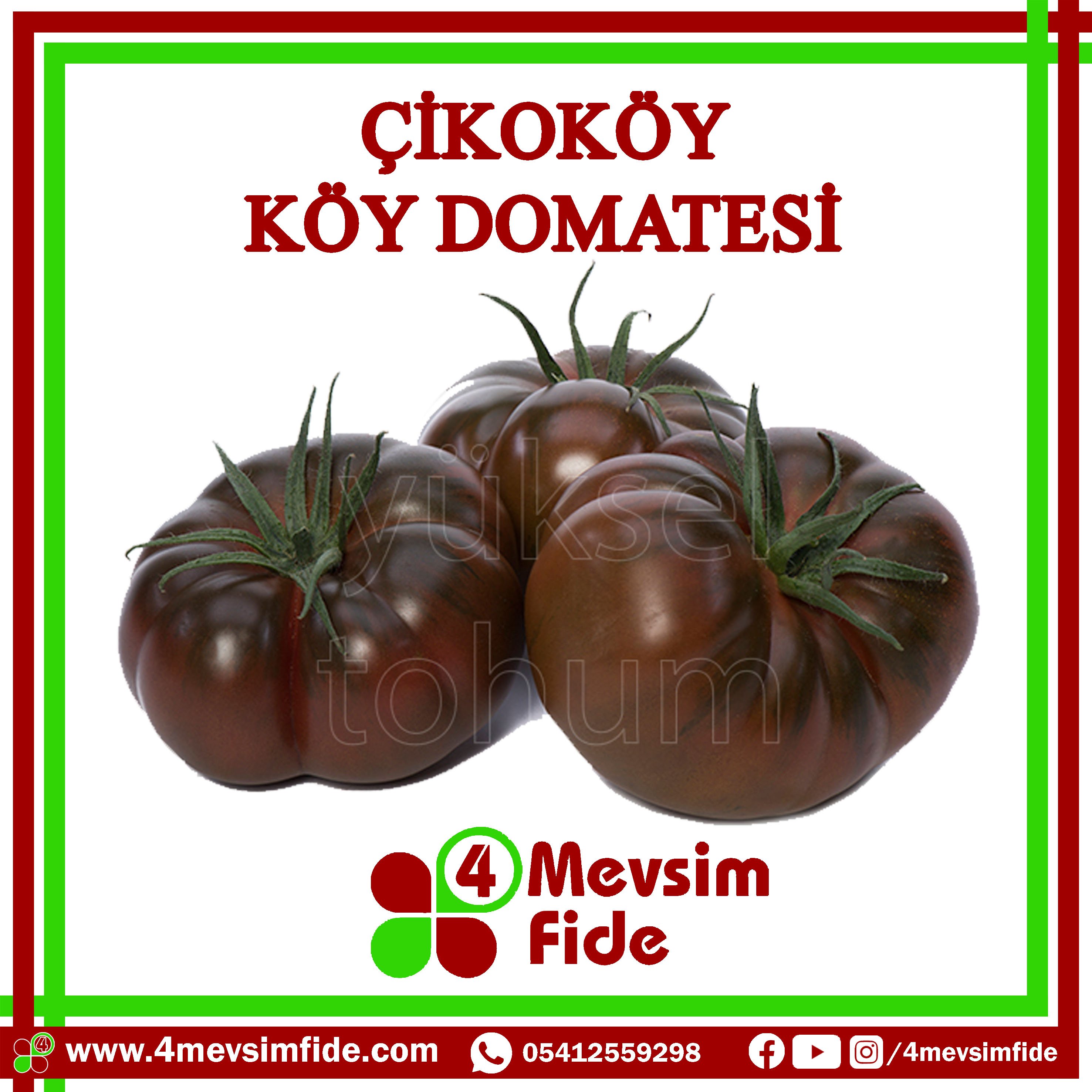 Çikoköy F1 Köy Domatesi