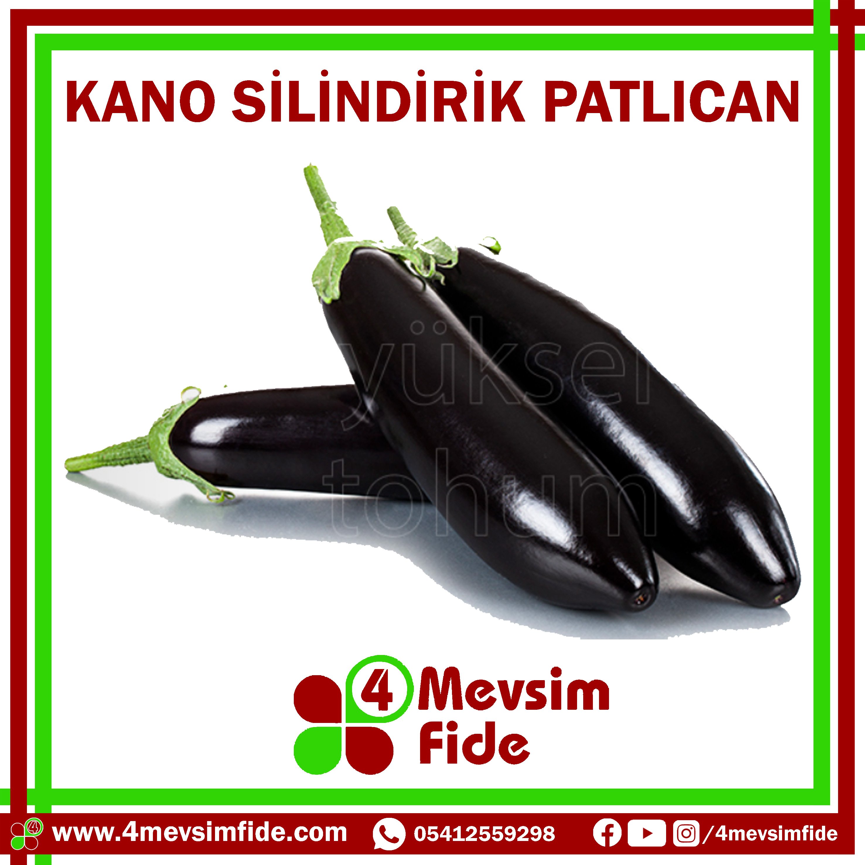 kano f1 silindirik patlıcan