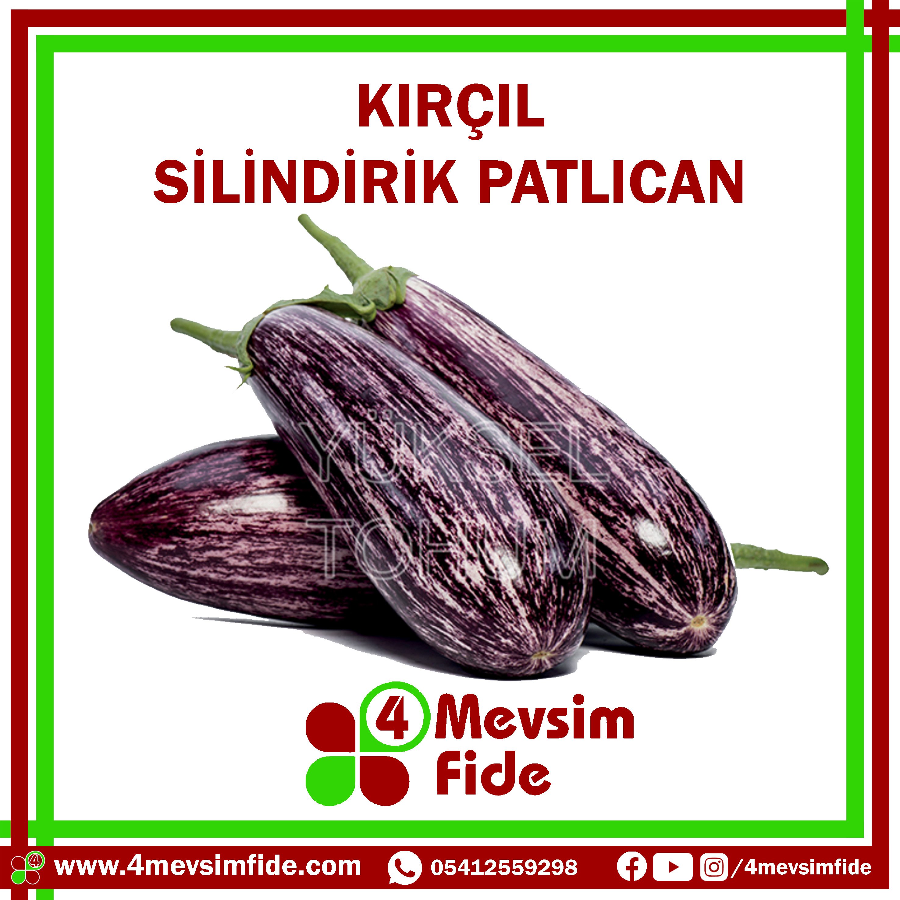 Kırçıl F1 Silindirik Patlıcan