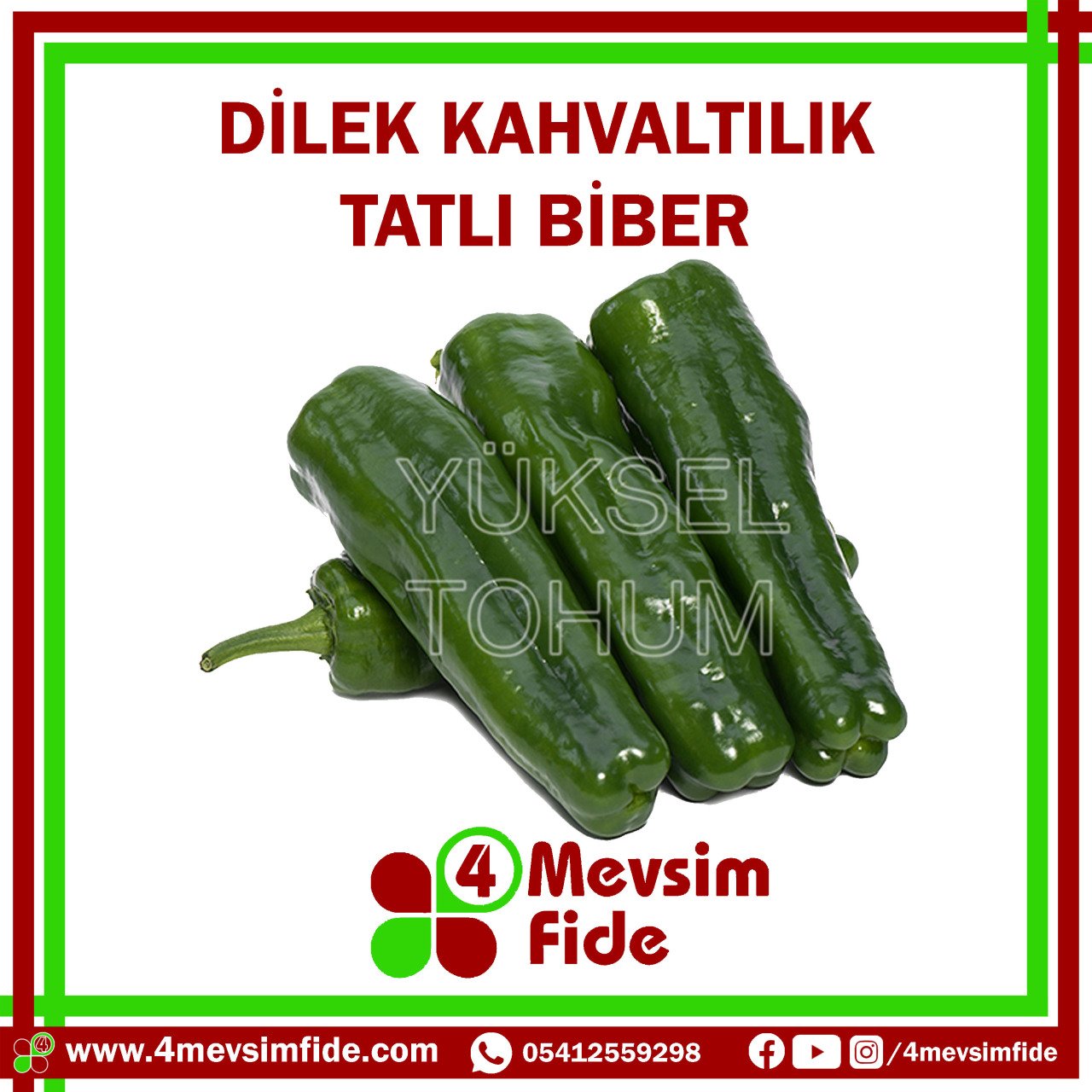 Dilek F1 Üçburun Biber Fidesi