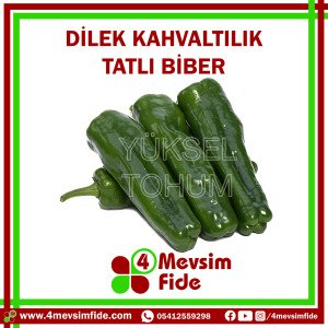 Dilek F1 Üçburun Biber Fidesi