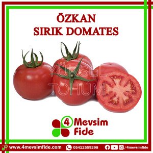 Özkan Sırık Domates Tohumu 1000 Adet