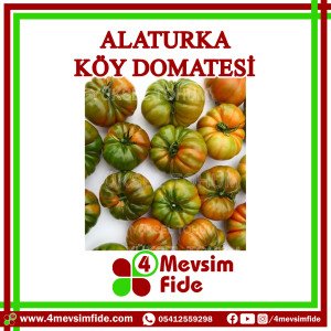 Alaturka Sırık Köy Domatesi Tohumu 1000 Adet