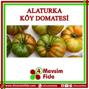 Alaturka Sırık Köy Domatesi Tohumu 1000 Adet