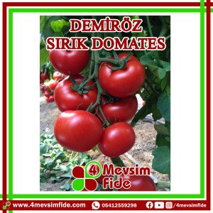 Demiröz Sırık Domates Tohumu 1000 Adet