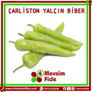 Yalçın F1 Çarliston Biber Fidesi
