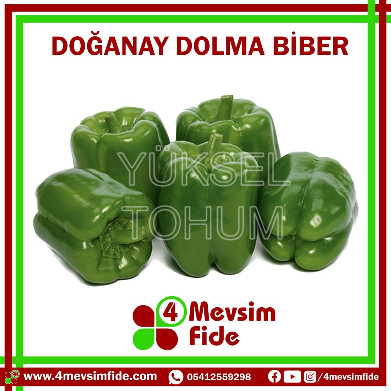 Doğanay F1 Dolma Biber Fidesi