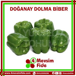 Doğanay F1 Dolma Biber Fidesi