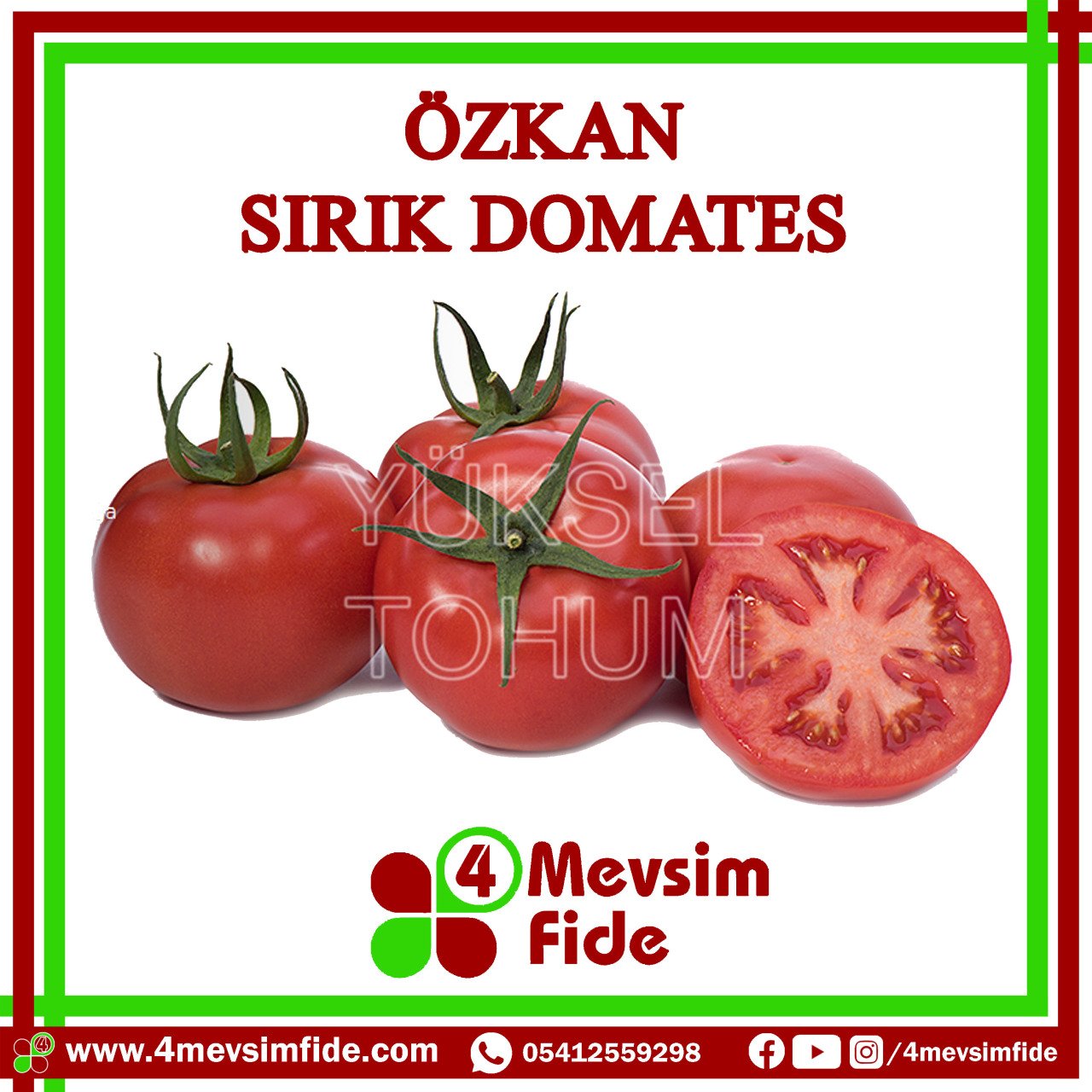 Özkan F1 Domates Fidesi