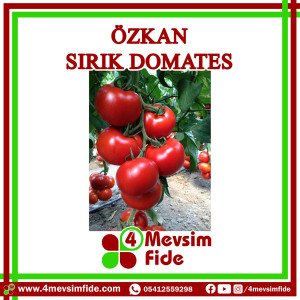 Özkan F1 Domates Fidesi