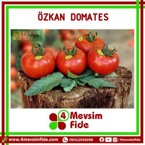 Özkan F1 Domates Fidesi