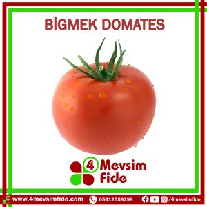 Bigmek F1 Sırık Domates Fidesi