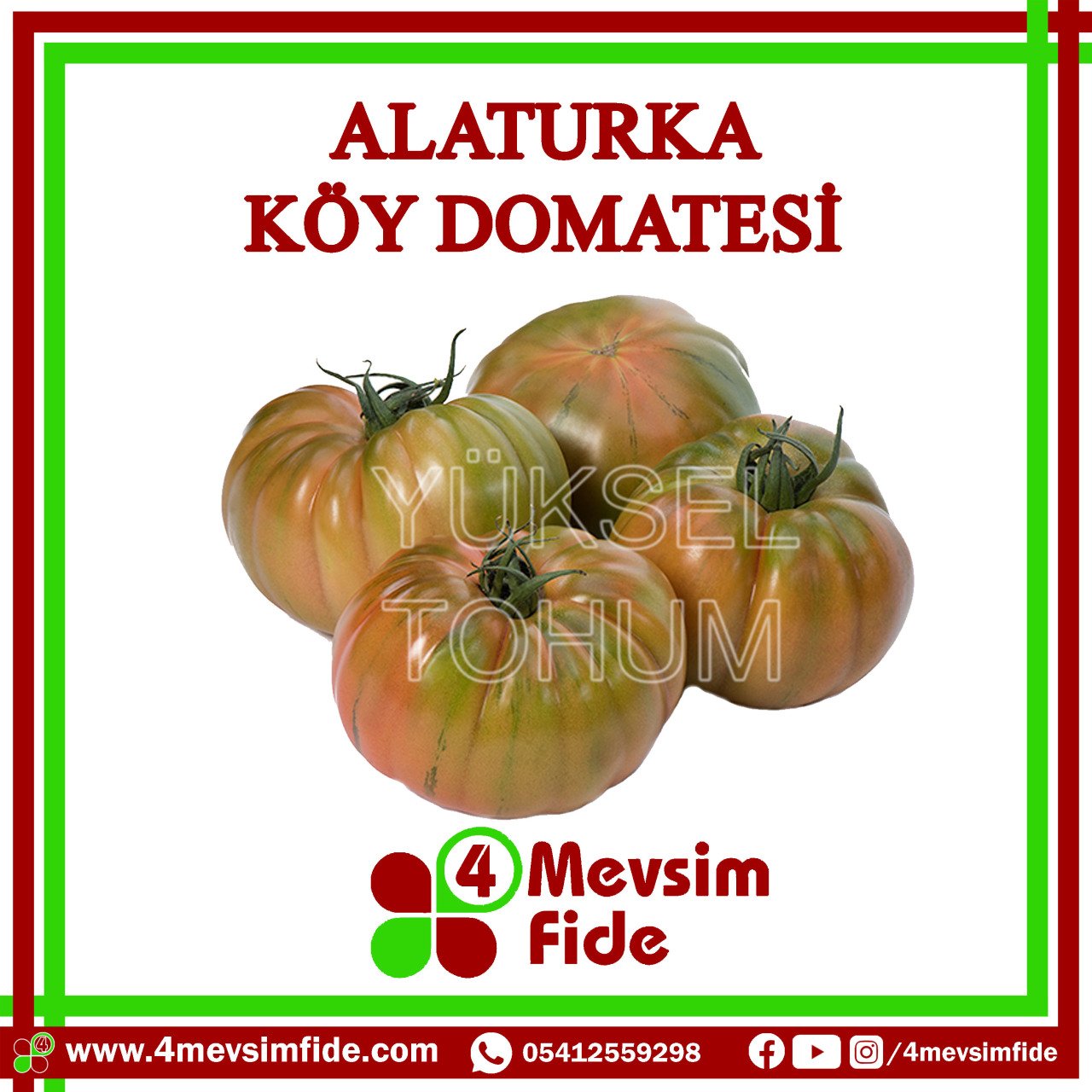 Alaturka F1 Sırık Köy Domates Fidesi