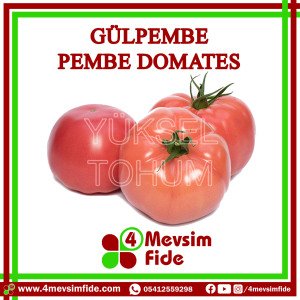 Gülpembe Domates Fidesi
