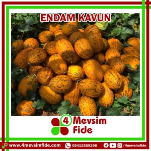 Endam Kavun Fidesi