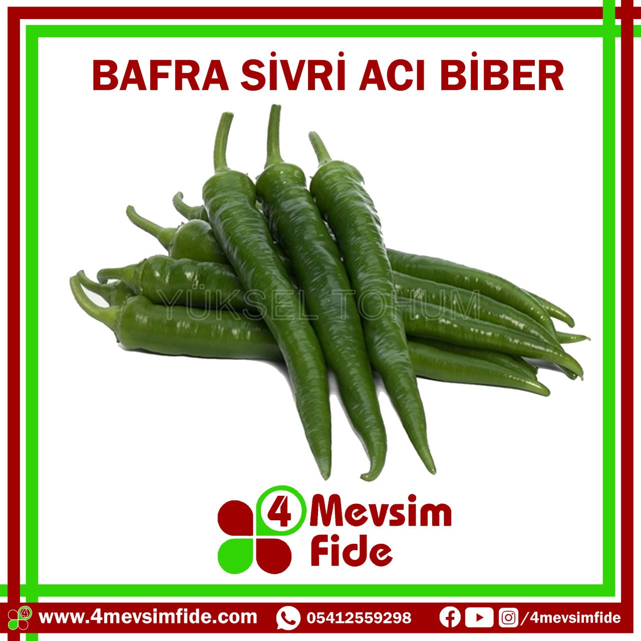 Bafra F1 Sivri Acı Biber Fidesi