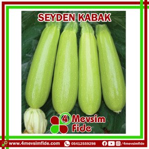 Seyden F1 Kabak Fidesi