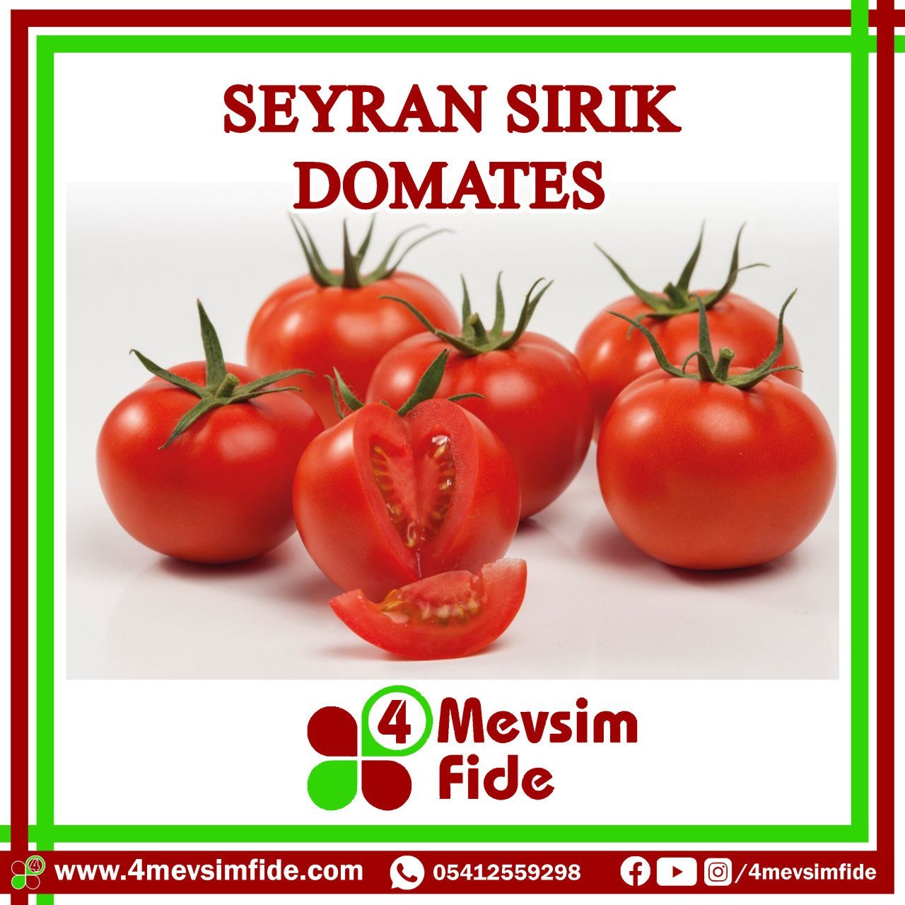 Seyran F1 Sırık Domates Fidesi