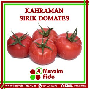 Kahraman Sırık Domates Tohumu  1000 Adet