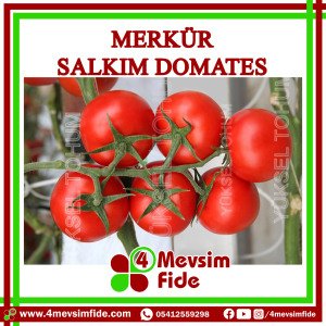 Merkür Salkım Domates Tohumu 1000 Adet