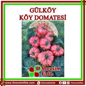 Gülköy Köy Domatesi Tohumu 1000 Adet