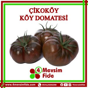 Çikoköy F1 Köy Domates Fidesi