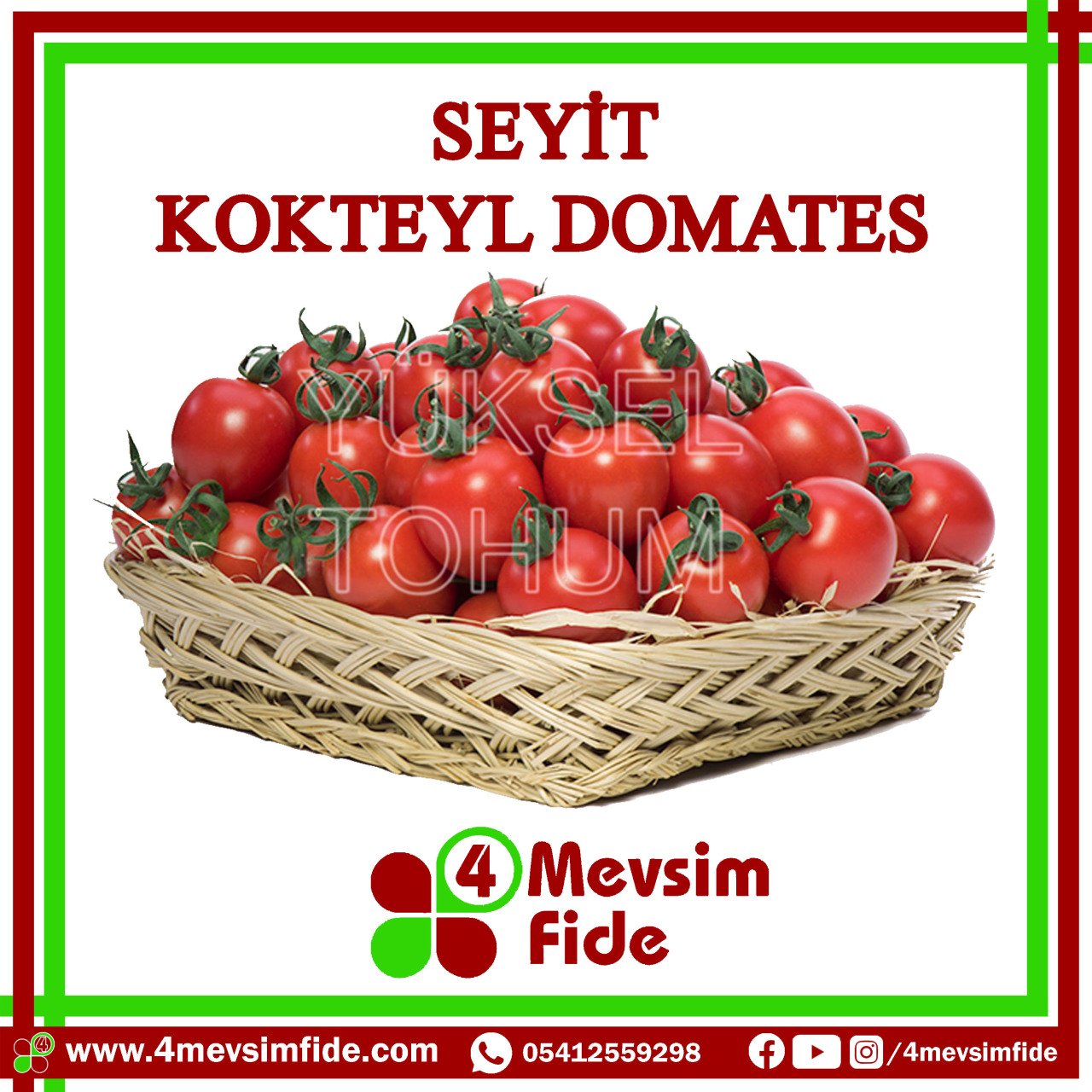 Seyit F1 Kokteyl Domates Fidesi