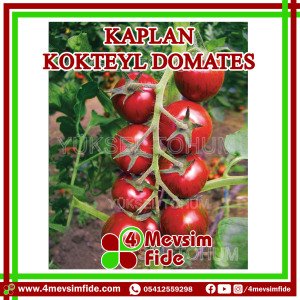 Kaplan Kokteyl Domates Tohumu 1000 Adet