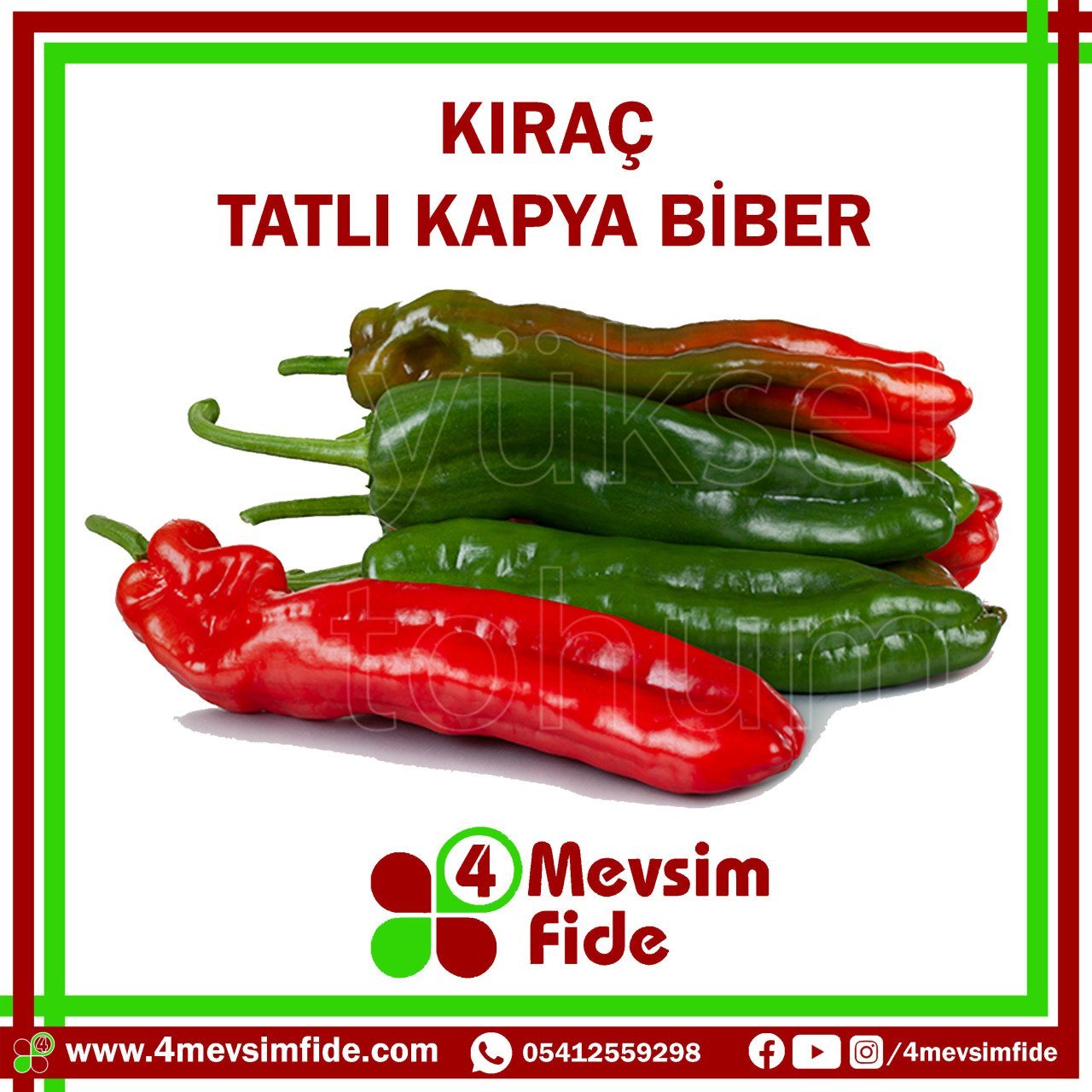 Kıraç Tatlı Kapya Biber Tohumu 1000 Adet