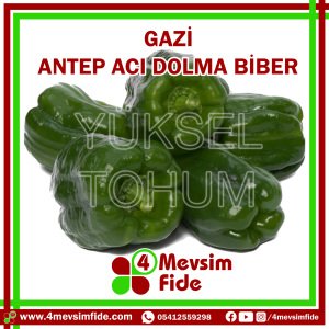 Gazi F1 Acı Dolma Biber Tohumu 1000 Adet