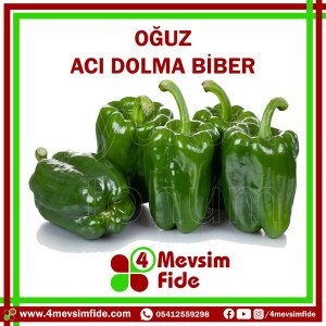 Oğuz Dolma Biber Tohumu 1000 Adet