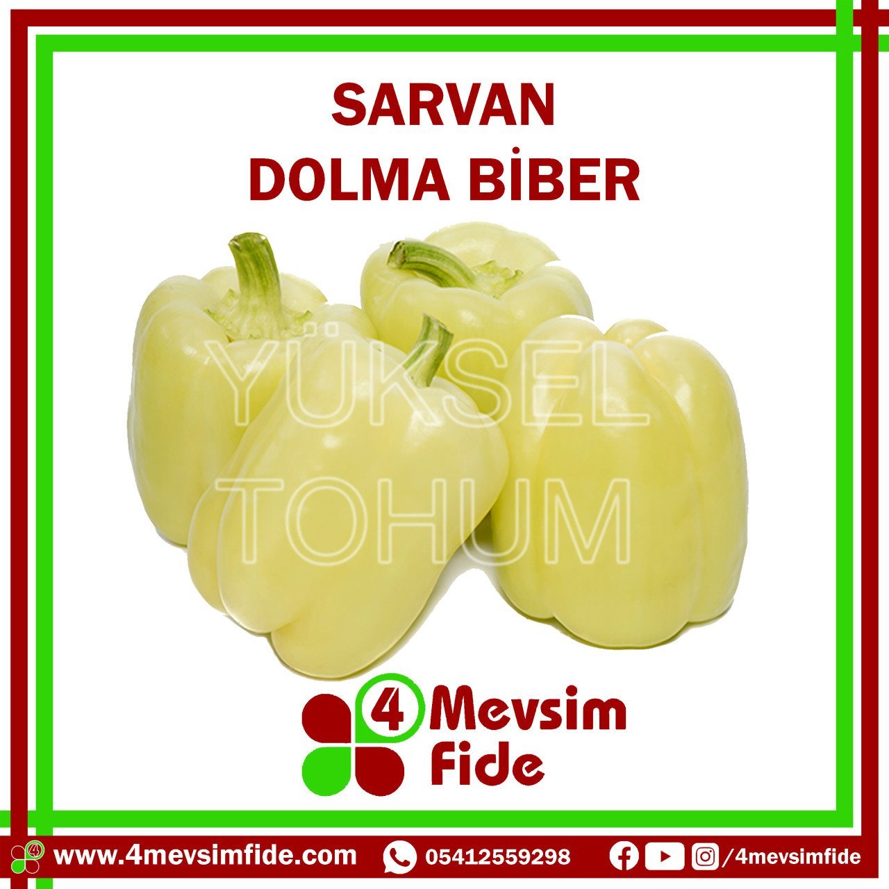Sarvan Dolma Biber Tohumu 1000 Adet