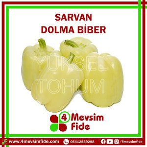 Sarvan Dolma Biber Tohumu 1000 Adet