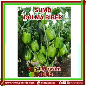 Sumo Dolma Biber Tohumu 1000 Adet