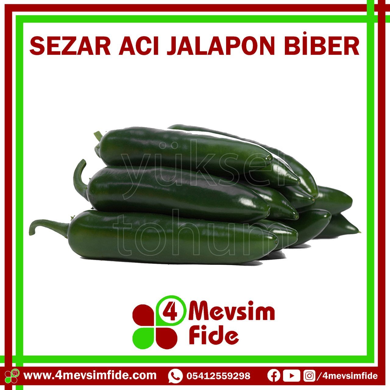 Sezar Acı Jalapon Biber Tohumu 1000 Adet