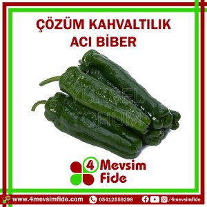 Çözüm Acı Üçburun Biber Tohumu 1000 Adet