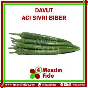 Davut F1 Acı Sivri Biber Tohumu 1000 Adet