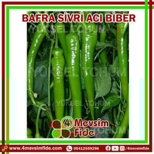 Bafra Sivri Acı Biber Tohumu 1000 Adet