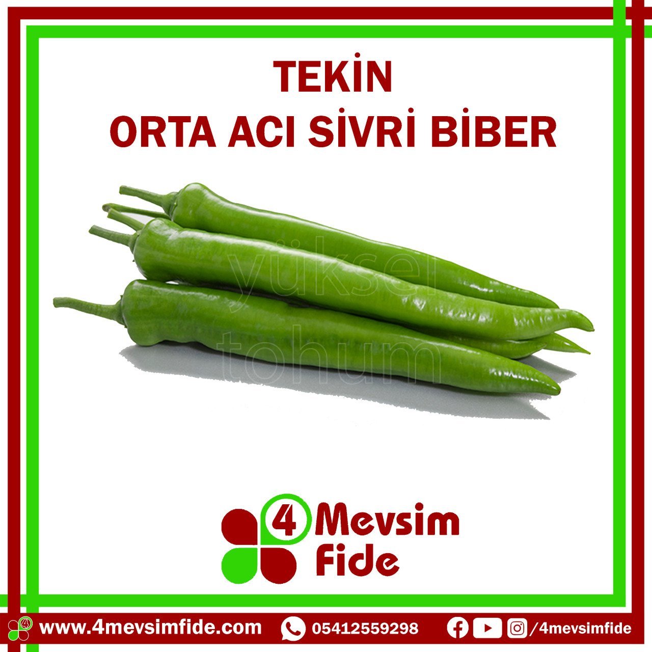 Tekin Orta Acı Sivri Biber Tohumu 1000 Adet