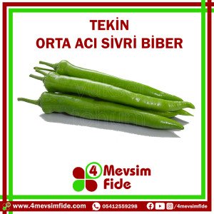 Tekin F1 Orta Acı Sivri Biber Fidesi