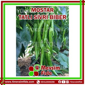 Mostar F1 Tatlı Sivri Biber Fidesi