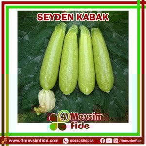 Seyden Kabak Tohumu 100 Gram