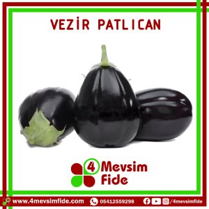 Vezir Topan Patlıcan Tohumu 1000 Adet