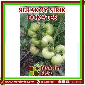 Seraköy Sırık Domates Tohumu 1000 Adet