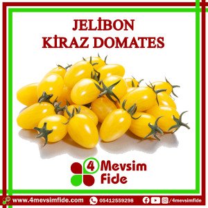 Jelibon Kiraz Domates Tohumu 1000 Adet