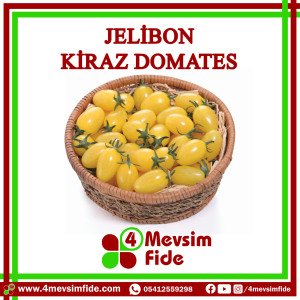 Jelibon Kiraz Domates Tohumu 1000 Adet