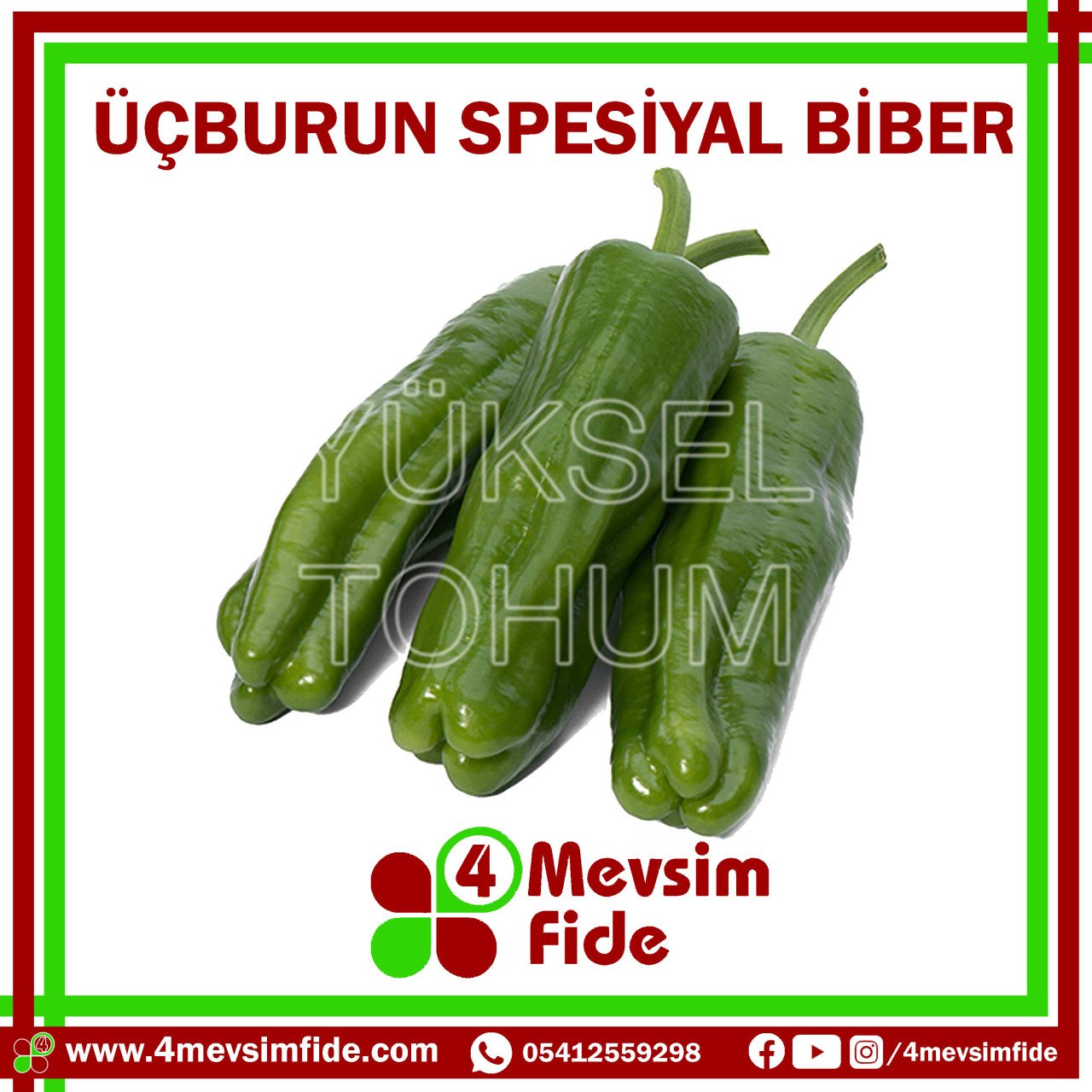 Üçburun F1 Üçburun Biber Fidesi